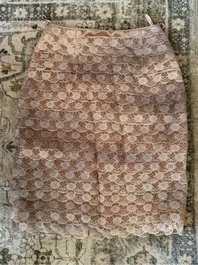 Source Unknown Blush Lace Pencil Skirt